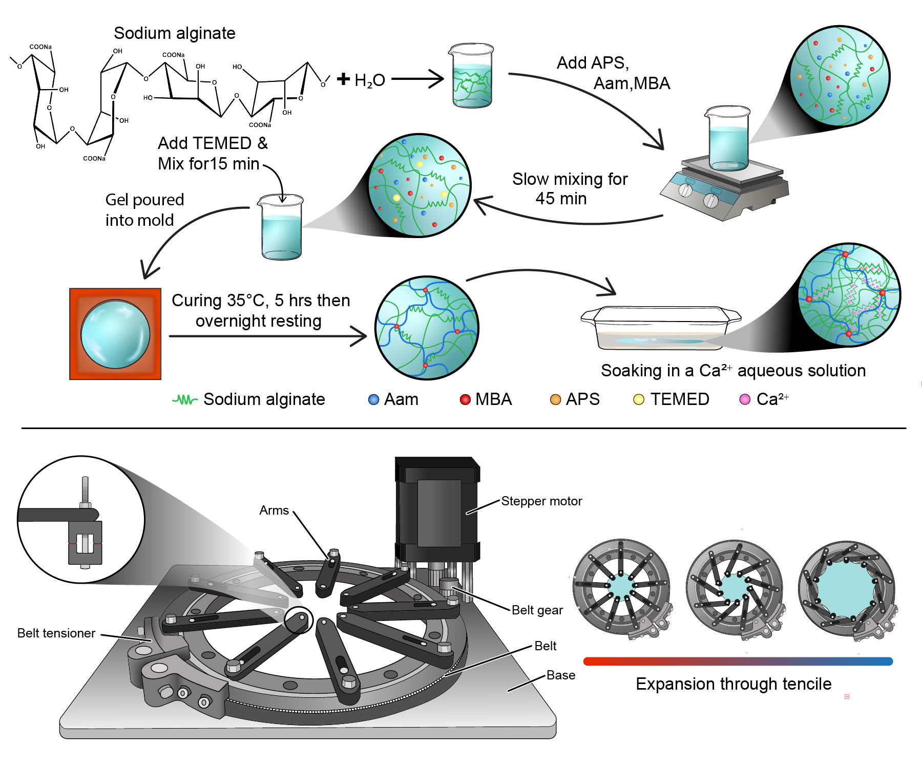 Cell Process